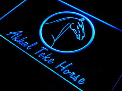 Akhal Teke Horse Model Race Gift Neon Light Sign